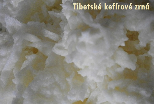Kde Koupit Tibetskou Houbu (účinných látek, Cordyceps sinensis, Cordyceps militaris) Kde Koupit Tibetskou Houbu