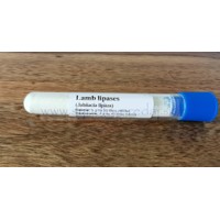 Lamb lipases - jehněčí lipáza 5 g